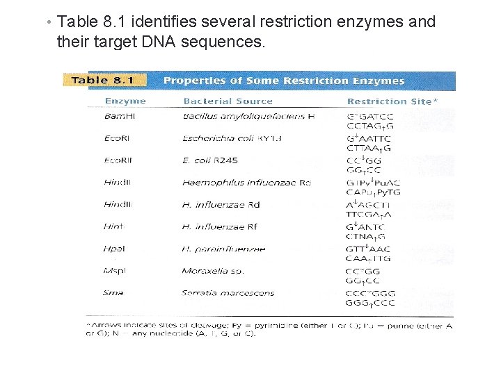  • Table 8. 1 identifies several restriction enzymes and their target DNA sequences.