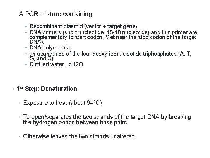 A PCR mixture containing: • Recombinant plasmid (vector + target gene) • DNA primers