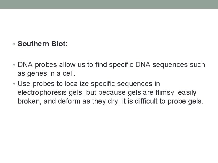  • Southern Blot: • DNA probes allow us to find specific DNA sequences
