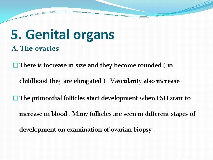 5. Genital organs A. The ovaries �There is increase in size and they become