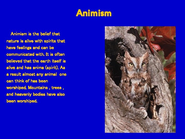 Animism is the belief that nature is alive with spirits that have feelings and