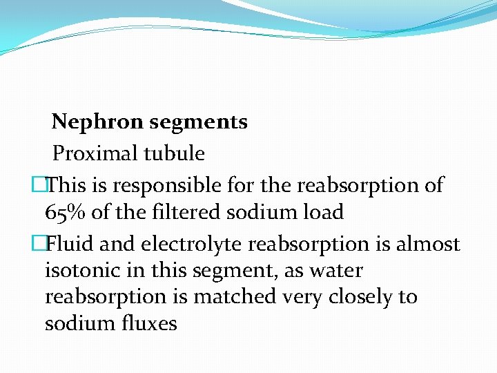 Nephron segments Proximal tubule �This is responsible for the reabsorption of 65% of the