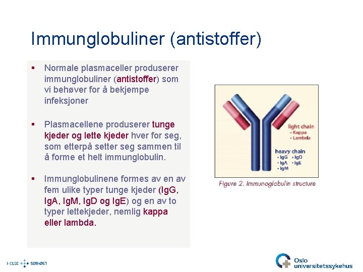 Immunglobuliner (antistoffer) § Normale plasmaceller produserer immunglobuliner (antistoffer) som vi behøver for å bekjempe