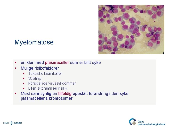 Myelomatose § § en klon med plasmaceller som er blitt syke Mulige risikofaktorer §