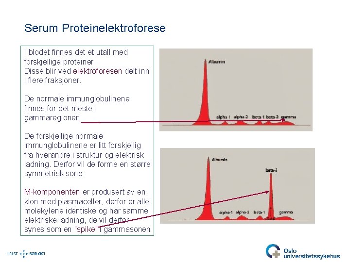 Serum Proteinelektroforese I blodet finnes det et utall med forskjellige proteiner Disse blir ved