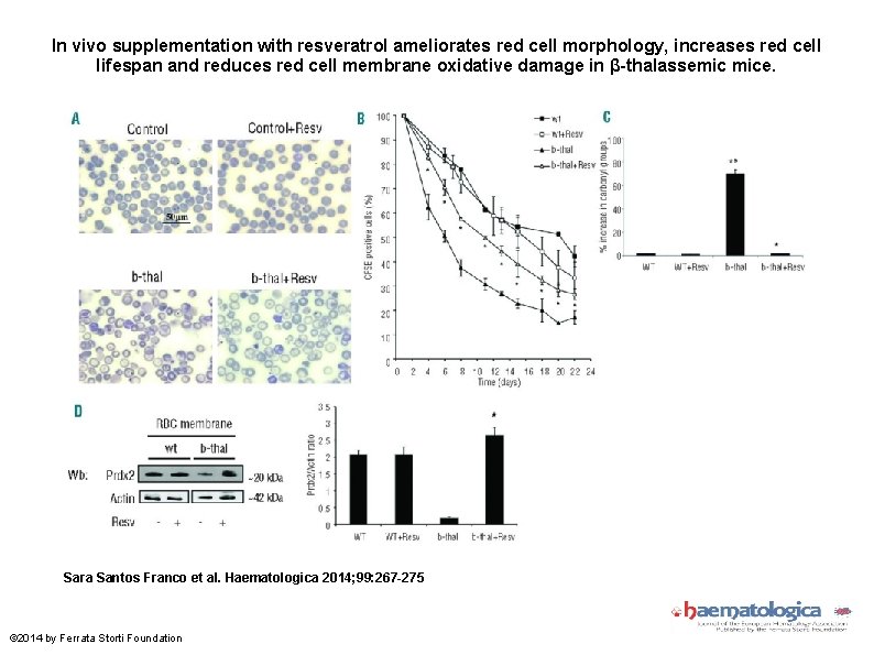 In vivo supplementation with resveratrol ameliorates red cell morphology, increases red cell lifespan and