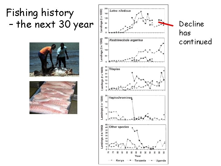 Fishing history – the next 30 years Decline has continued 