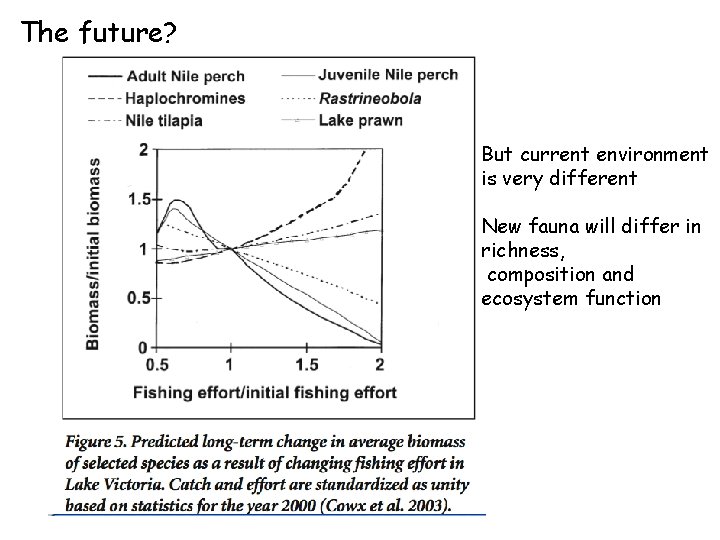 The future? But current environment is very different New fauna will differ in richness,