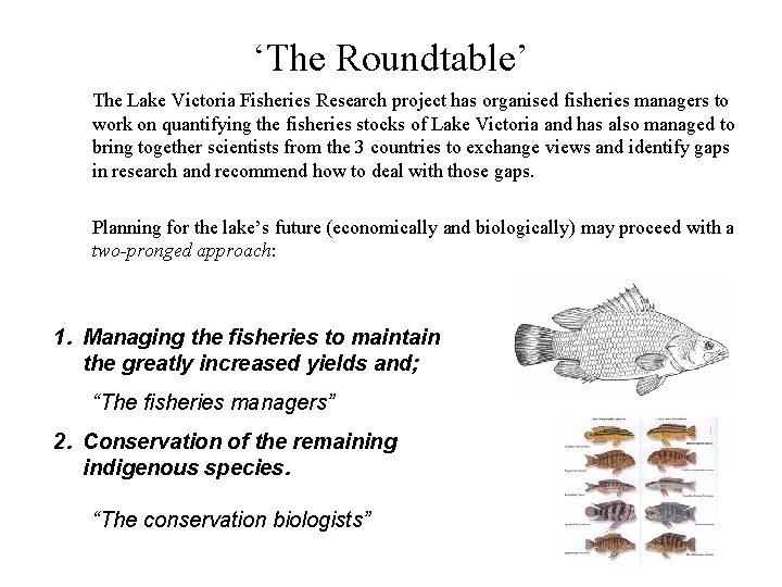 ‘The Roundtable’ The Lake Victoria Fisheries Research project has organised fisheries managers to work
