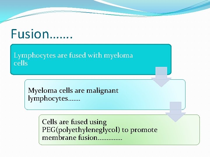 Fusion……. Lymphocytes are fused with myeloma cells Myeloma cells are malignant lymphocytes……. Cells are