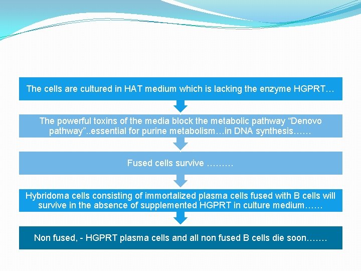 The cells are cultured in HAT medium which is lacking the enzyme HGPRT… The