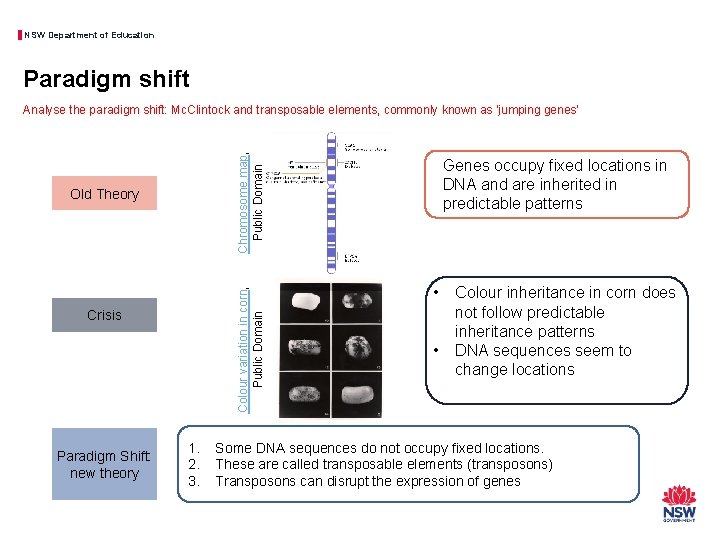 NSW Department of Education Paradigm shift Chromosome map, Public Domain Analyse the paradigm shift: