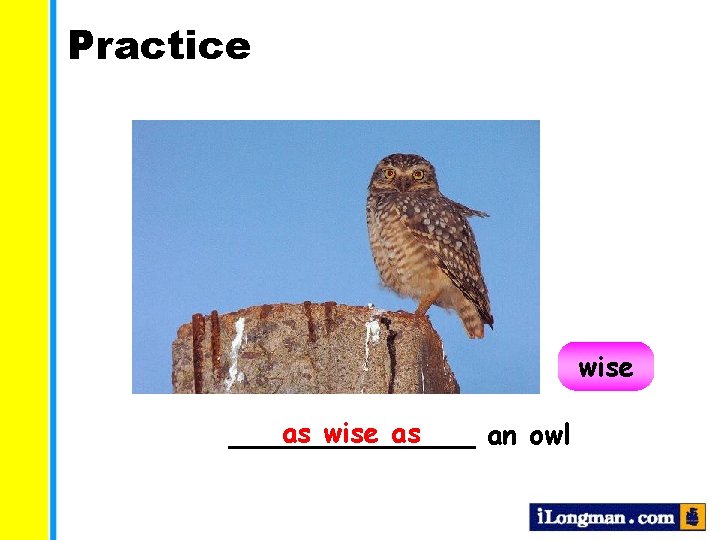 Practice wise as _______ an owl 
