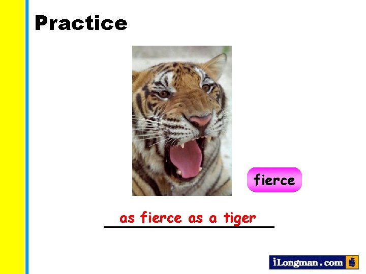 Practice fierce as a tiger __________ 