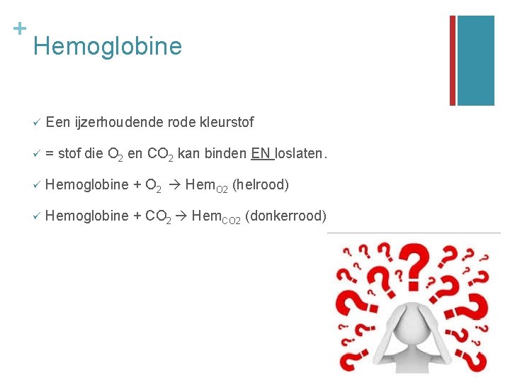 + Hemoglobine ü Een ijzerhoudende rode kleurstof ü = stof die O 2 en