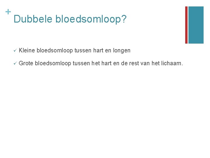 + Dubbele bloedsomloop? ü Kleine bloedsomloop tussen hart en longen ü Grote bloedsomloop tussen