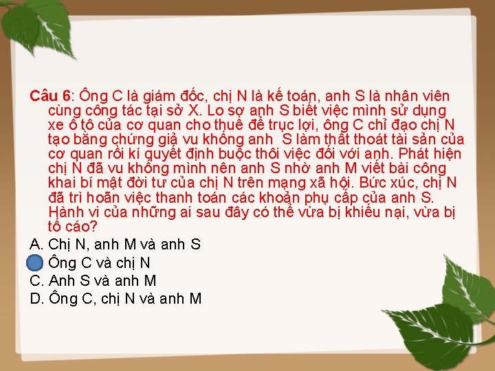 Câu 6: Ông C là giám đốc, chị N là kế toán, anh S