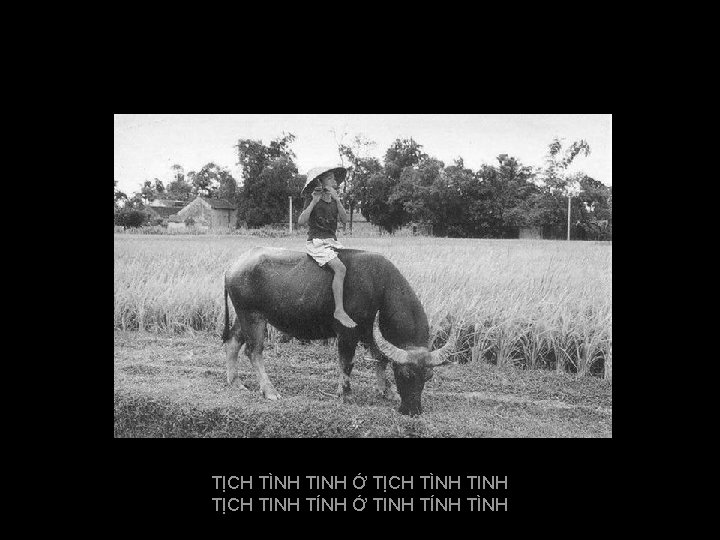 TỊCH TÌNH TINH Ớ TỊCH TÌNH TINH TỊCH TINH TÍNH Ớ TINH TÍNH TÌNH