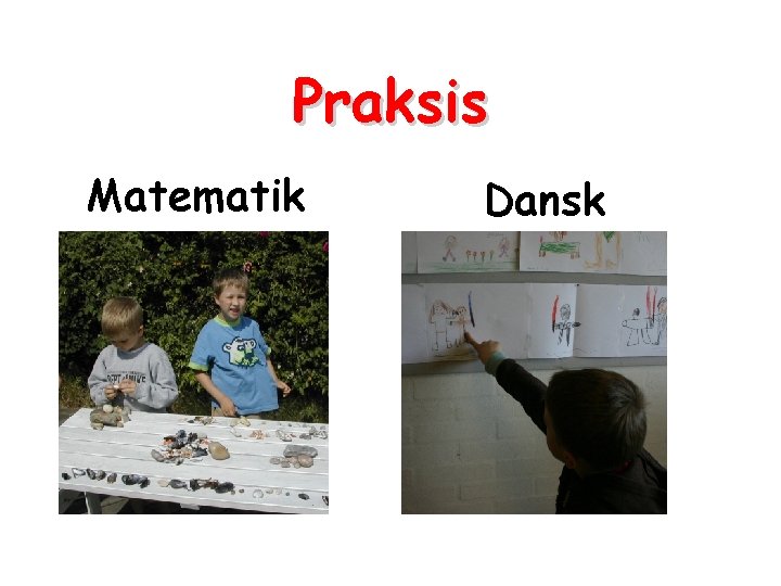 Praksis Matematik Dansk 