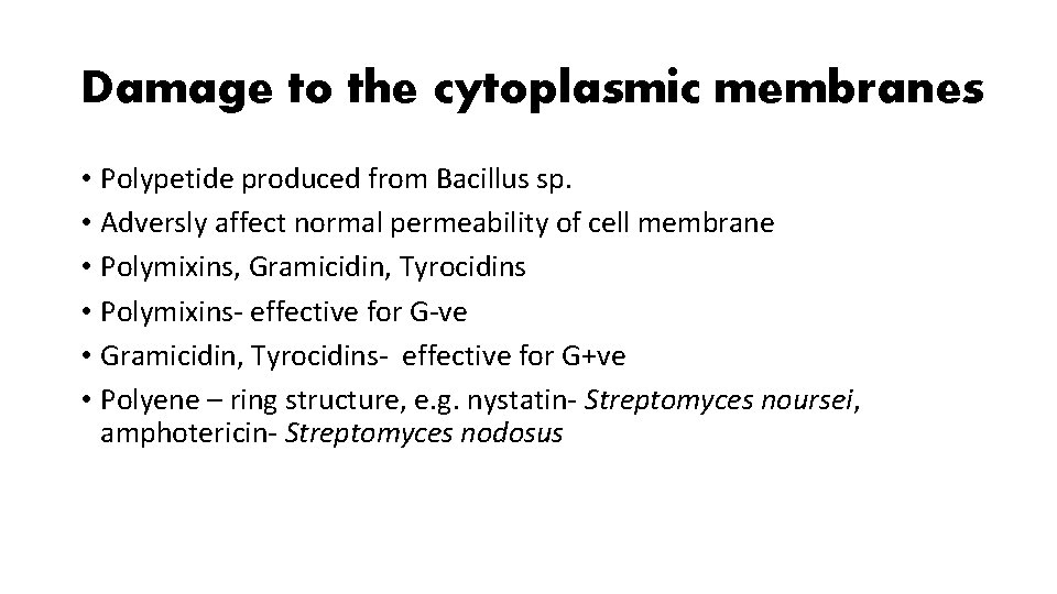 Damage to the cytoplasmic membranes • Polypetide produced from Bacillus sp. • Adversly affect