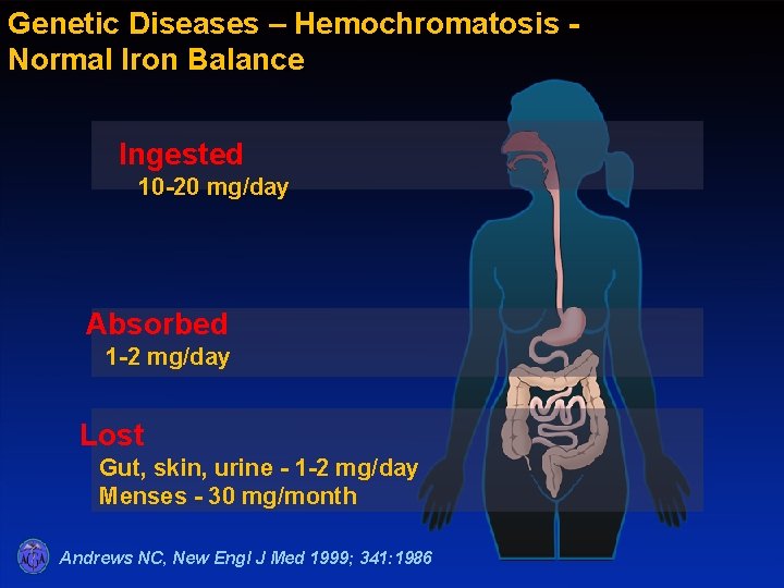 Genetic Diseases – Hemochromatosis Normal Iron Balance Ingested 10 -20 mg/day Absorbed 1 -2