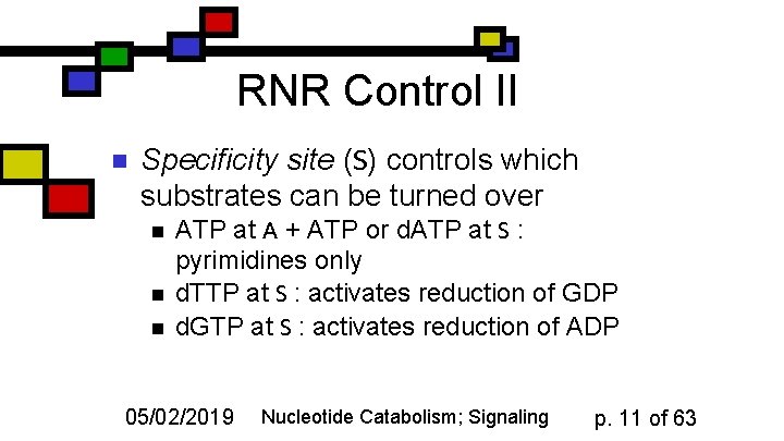 RNR Control II n Specificity site (S) controls which substrates can be turned over