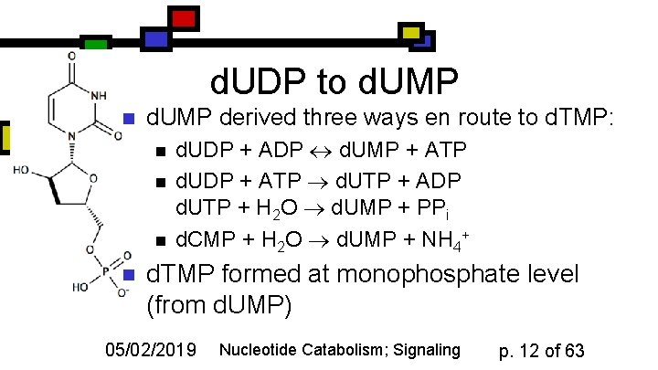 d. UDP to d. UMP n d. UMP derived three ways en route to