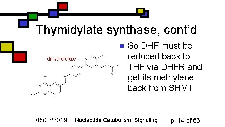 Thymidylate synthase, cont’d n dihydrofolate 05/02/2019 So DHF must be reduced back to THF