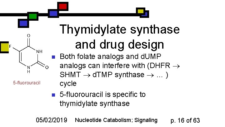 Thymidylate synthase and drug design n 5 -fluorouracil n Both folate analogs and d.
