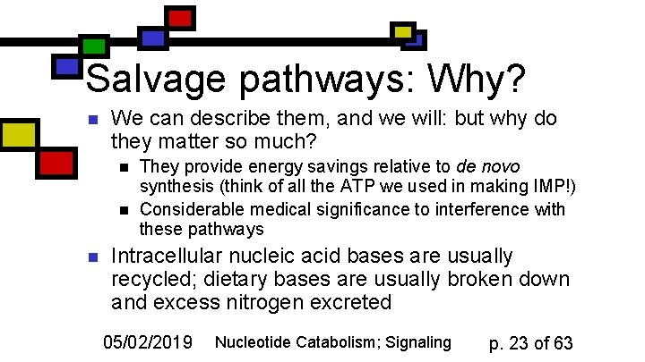 Salvage pathways: Why? n We can describe them, and we will: but why do