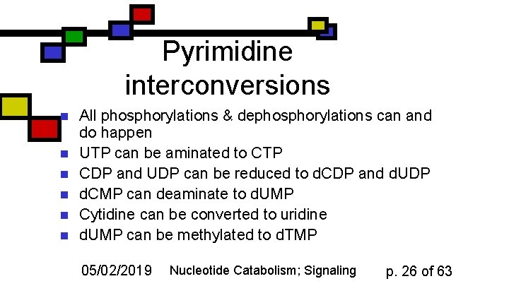 Pyrimidine interconversions n n n All phosphorylations & dephosphorylations can and do happen UTP