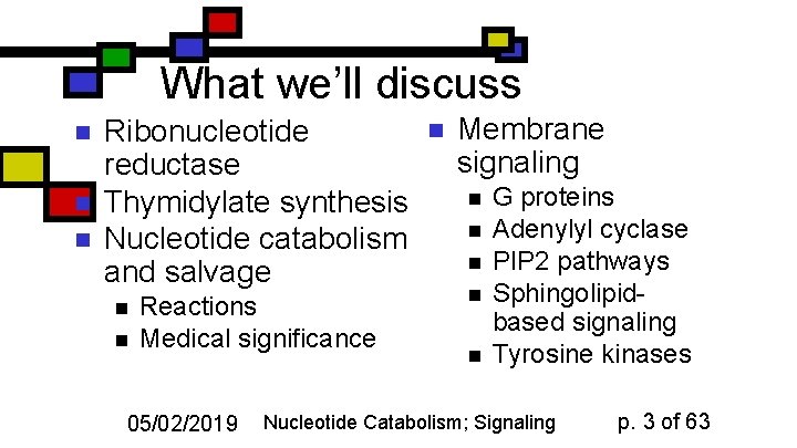 What we’ll discuss n n n Ribonucleotide reductase Thymidylate synthesis Nucleotide catabolism and salvage