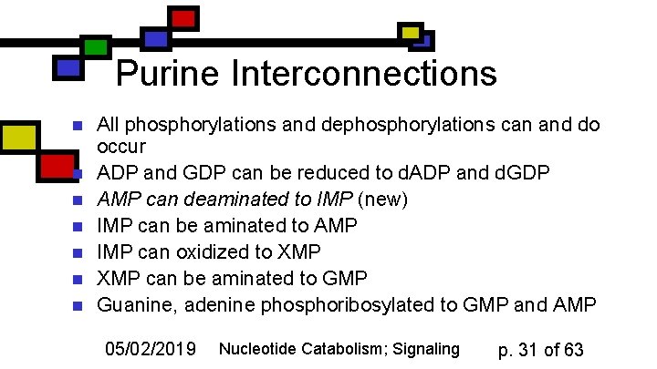 Purine Interconnections n n n n All phosphorylations and dephosphorylations can and do occur