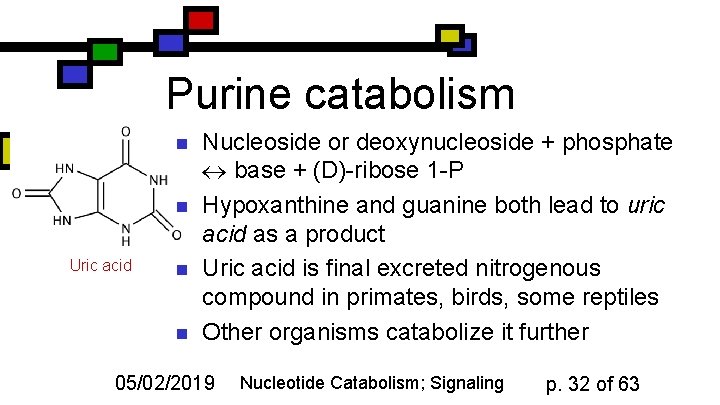 Purine catabolism n n Uric acid n n Nucleoside or deoxynucleoside + phosphate base