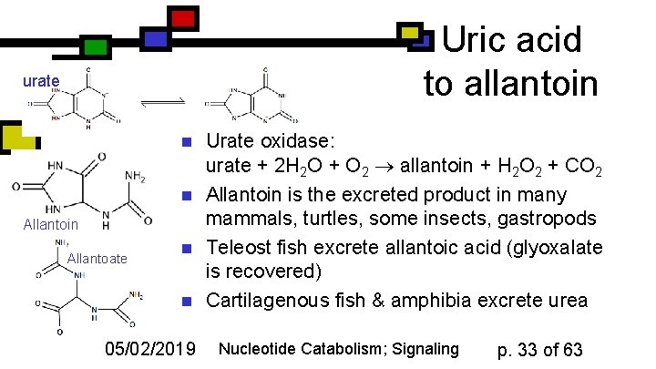 Uric acid to allantoin urate n n Allantoin Allantoate n n 05/02/2019 Urate oxidase: