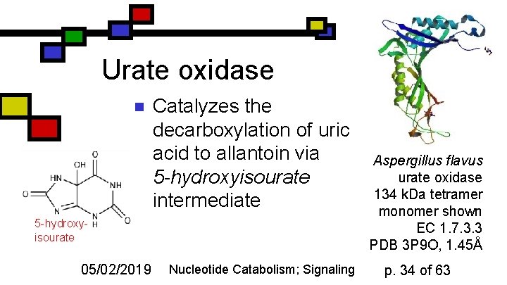 Urate oxidase n Catalyzes the decarboxylation of uric acid to allantoin via 5 -hydroxyisourate