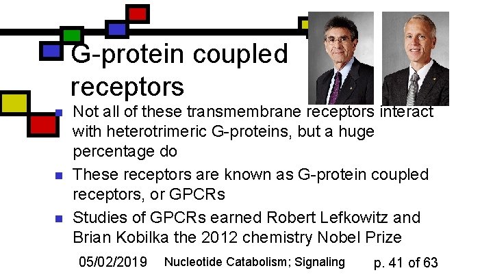 G-protein coupled receptors n n n Not all of these transmembrane receptors interact with