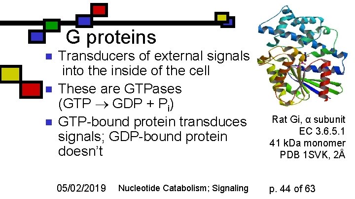 G proteins n n n Transducers of external signals into the inside of the