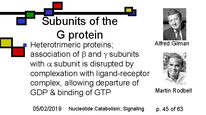Subunits of the G protein n Heterotrimeric proteins; association of and g subunits with