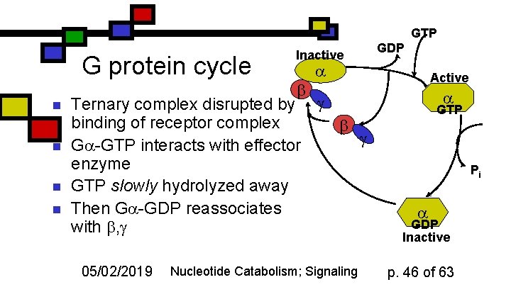 GTP G protein cycle n n Inactive Ternary complex disrupted by g binding of