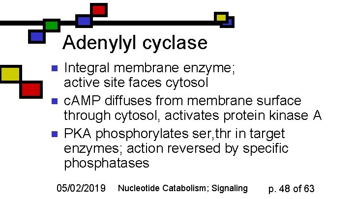 Adenylyl cyclase n n n Integral membrane enzyme; active site faces cytosol c. AMP