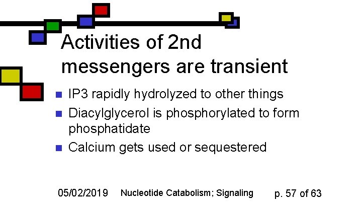 Activities of 2 nd messengers are transient n n n IP 3 rapidly hydrolyzed