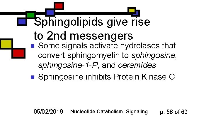 Sphingolipids give rise to 2 nd messengers n n Some signals activate hydrolases that