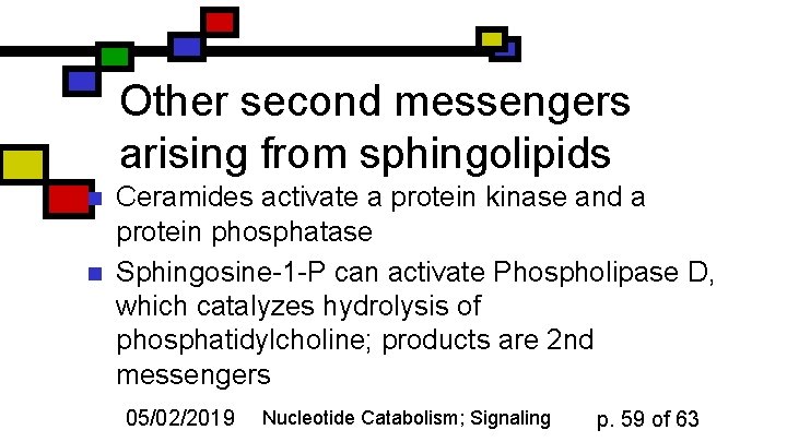 Other second messengers arising from sphingolipids n n Ceramides activate a protein kinase and