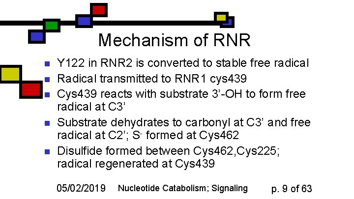 Mechanism of RNR n n n Y 122 in RNR 2 is converted to