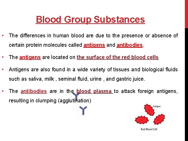 Blood Group Substances • The differences in human blood are due to the presence