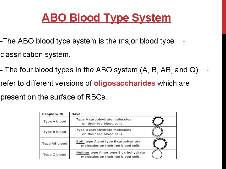 ABO Blood Type System -The ABO blood type system is the major blood type