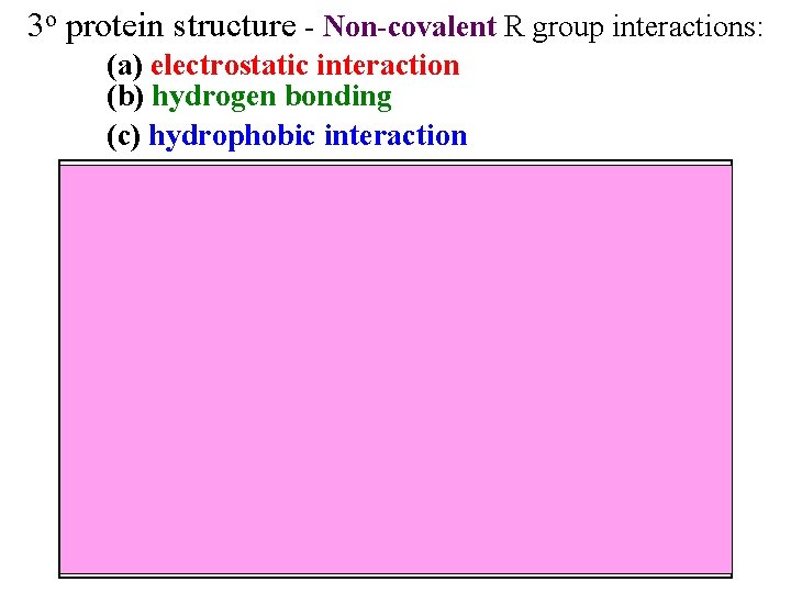 3 o protein structure - Non-covalent R group interactions: (a) electrostatic interaction (b) hydrogen