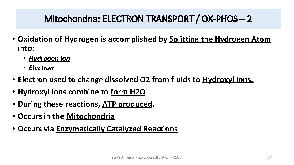 Mitochondria: ELECTRON TRANSPORT / OX-PHOS – 2 • Oxidation of Hydrogen is accomplished by
