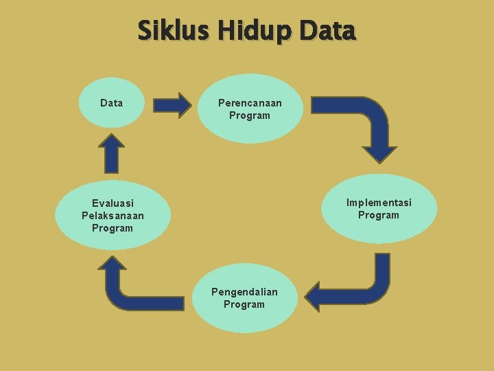 Siklus Hidup Data Perencanaan Program Implementasi Program Evaluasi Pelaksanaan Program Pengendalian Program 